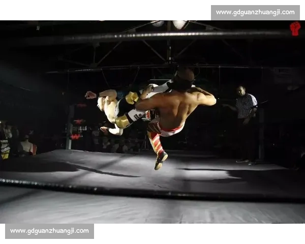 日本女子摔跤赛场新纪元展现实力与突破勇气的精彩对决