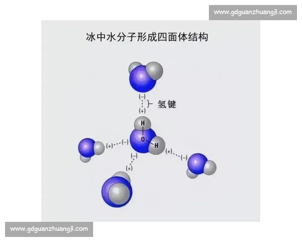水分子H2O的独特结构与性质及其在生命与自然界中的重要作用分析